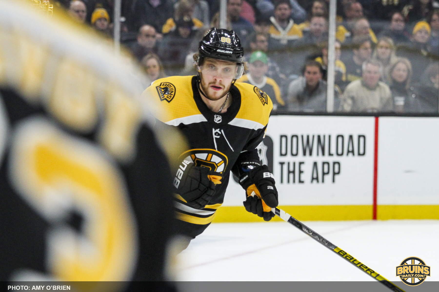 Bruins sandpaper finish