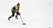 Assessing Bruins forwards
