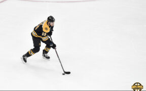 Assessing Bruins forwards