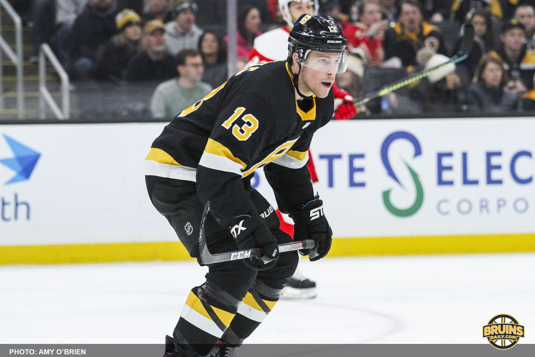 Bruins regroup Red Wings