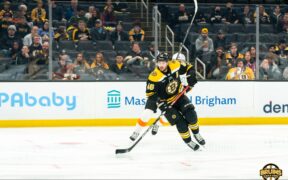 Bruins plan Bergeron Krejci