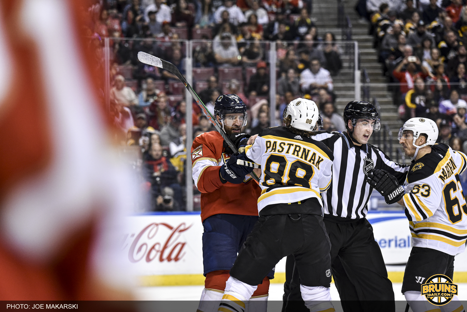 Bruins composed scrappy Panthers