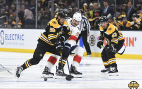 Bruins lay egg Panthers