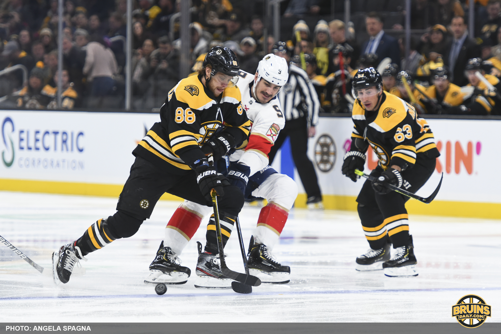 Bruins lay egg Panthers