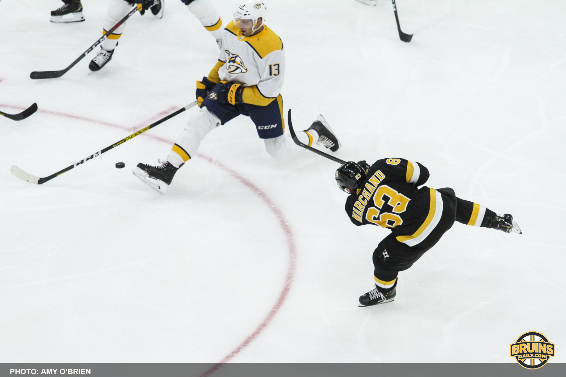 Bruins Predators laid egg