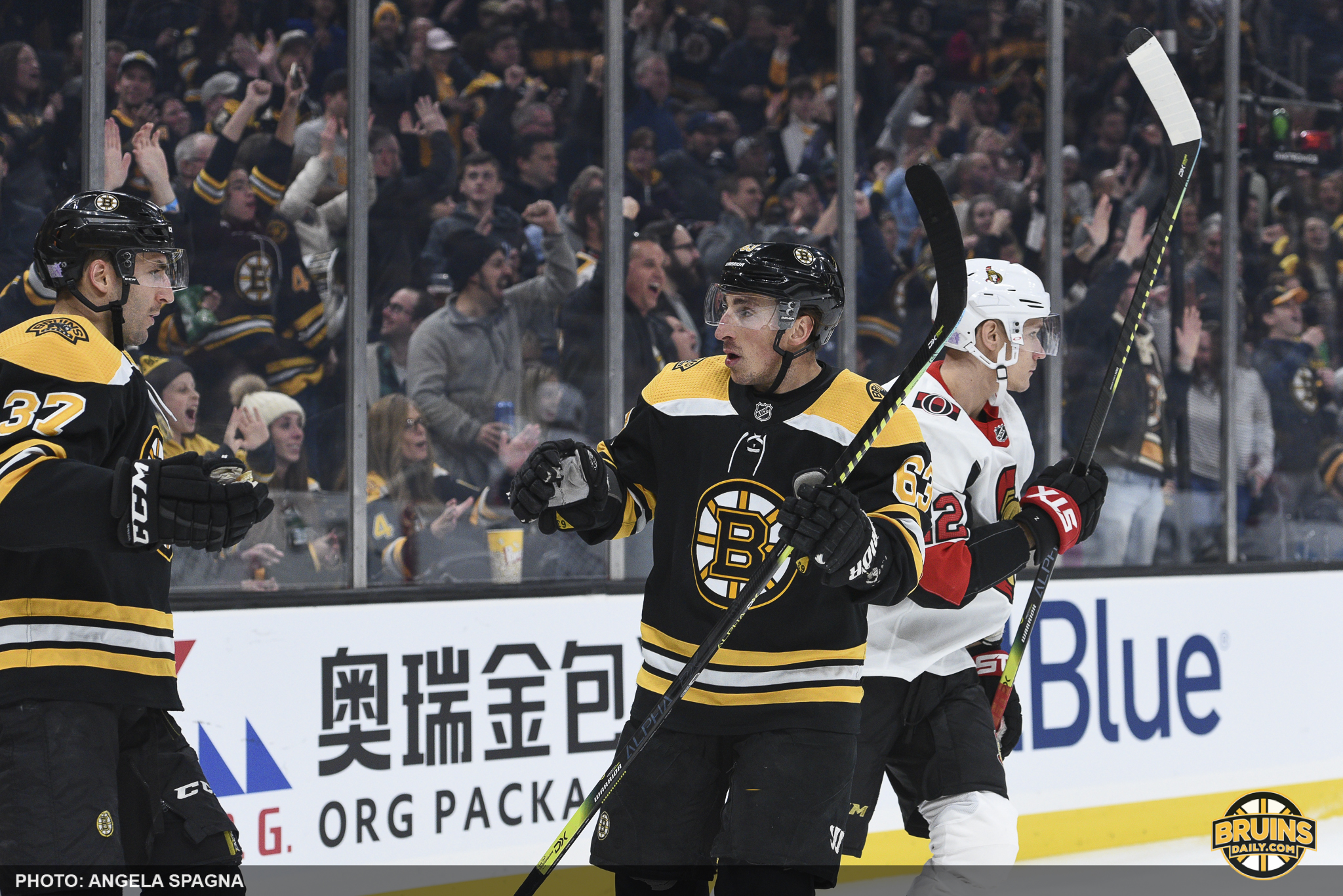 Bruins Senators playoff hopes