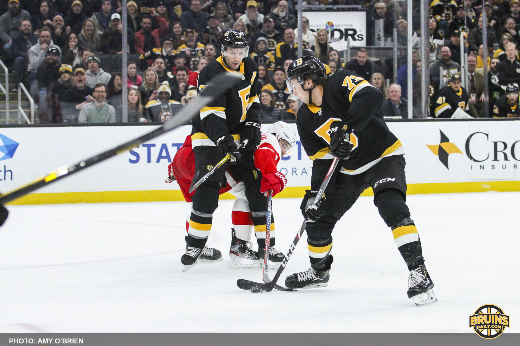 Bruins rally 50th win