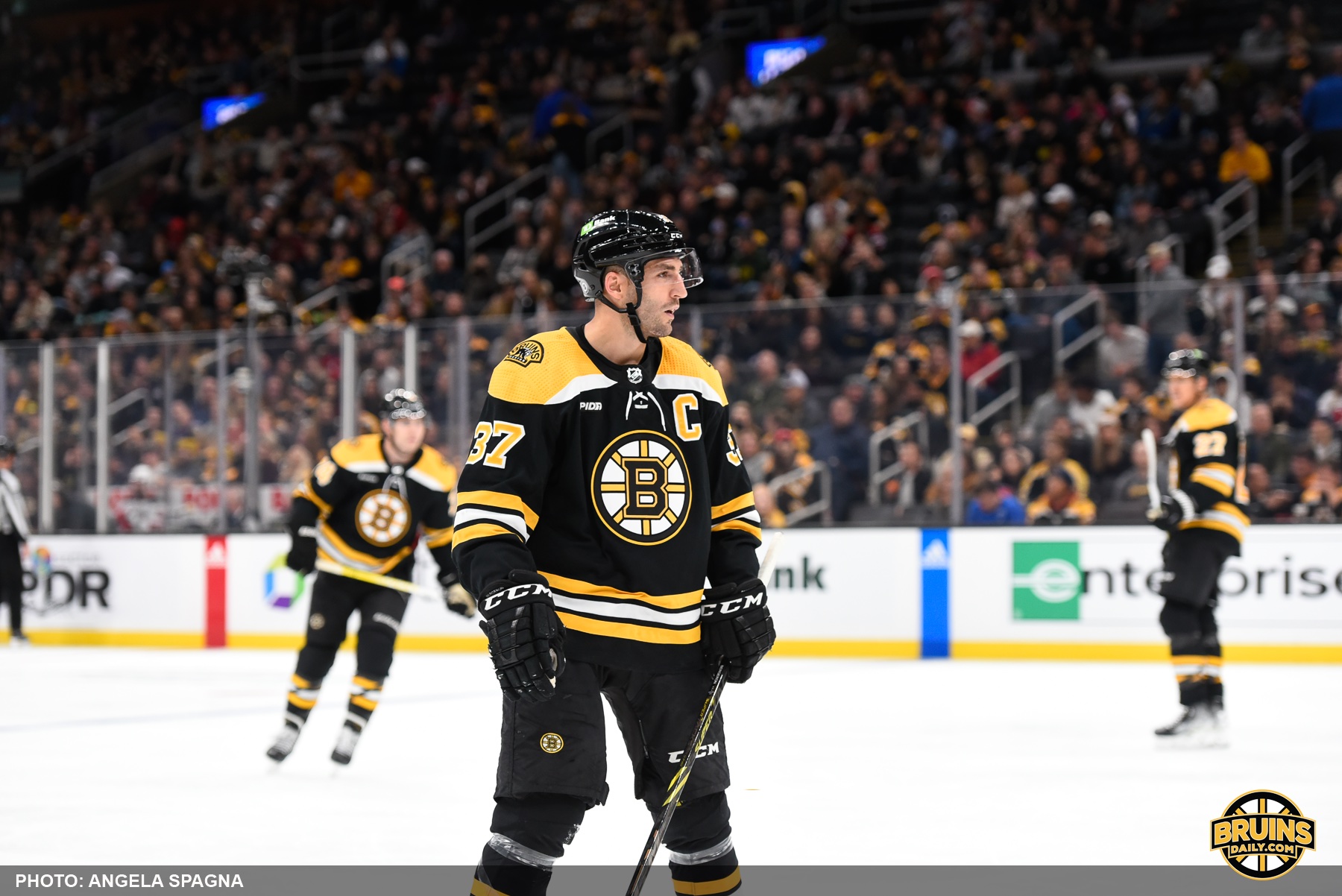 The captain Bruins