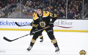 Charlie McAvoy Long Island