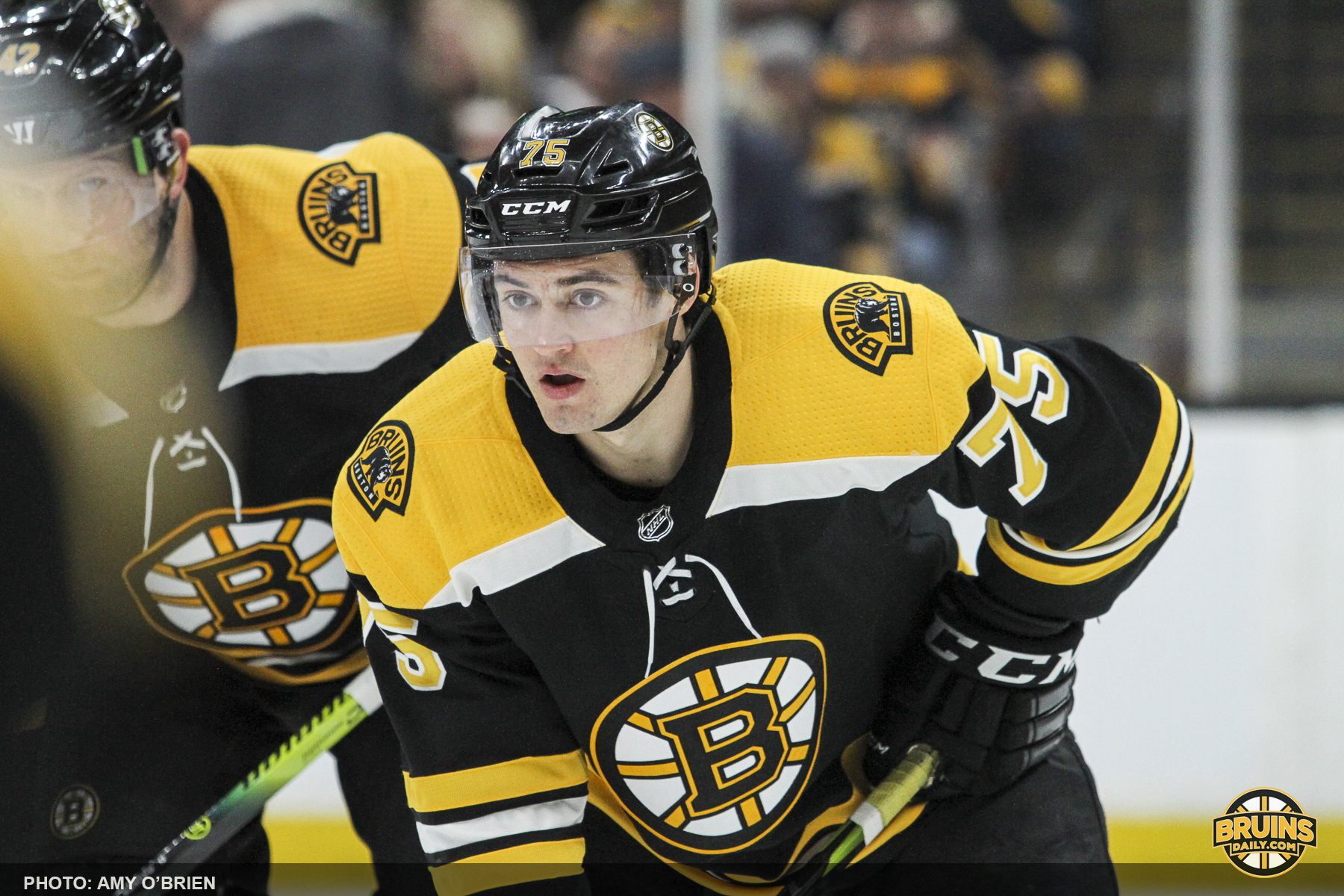 Bruins stay hot lulls