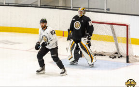 Bruins to watch stretch