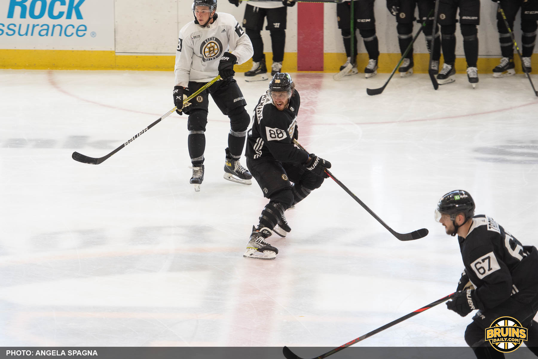 David Pastrnak desire Boston