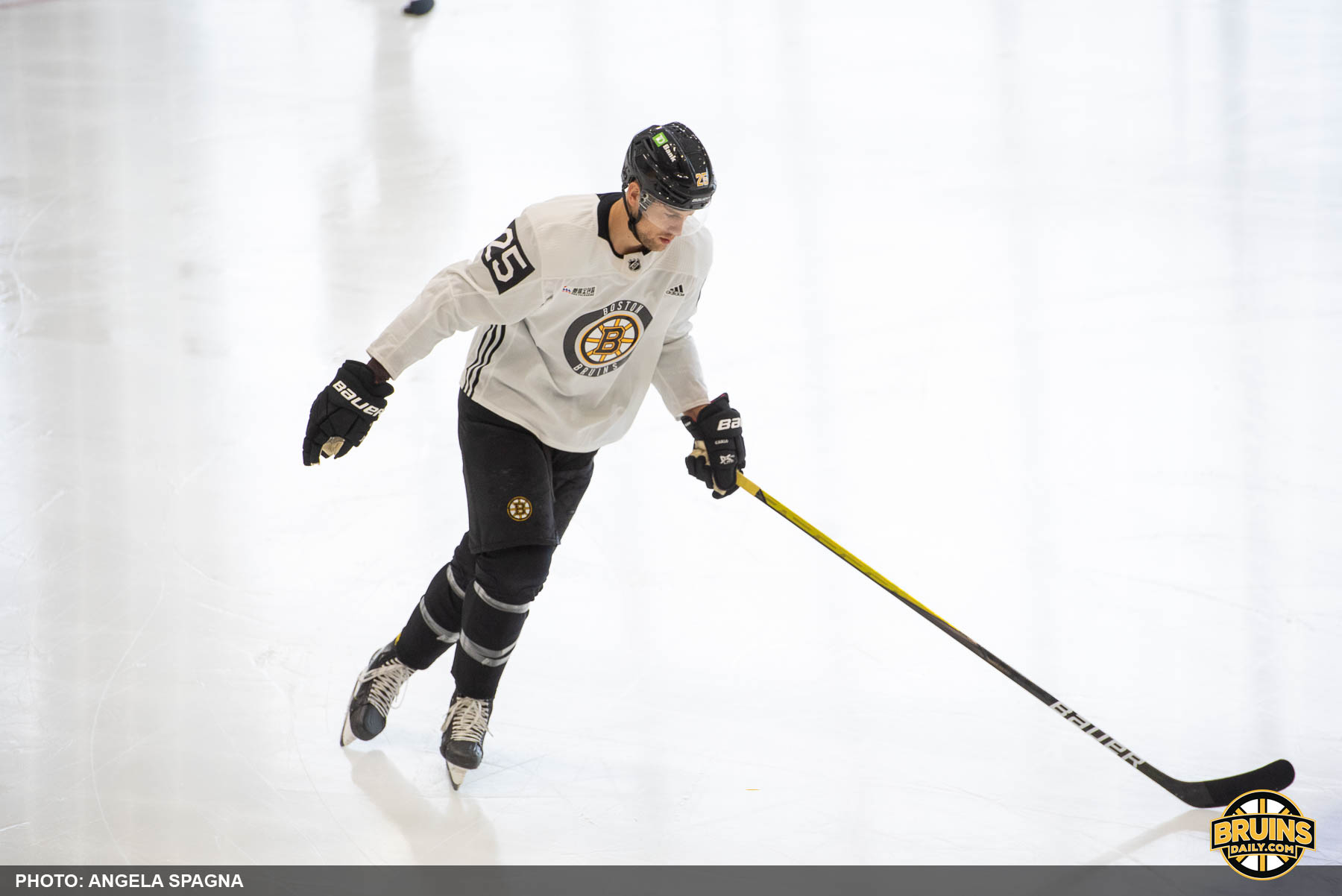 Bruce Cassidy defensive pairings