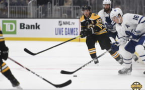 Bruins curiosity Leafs