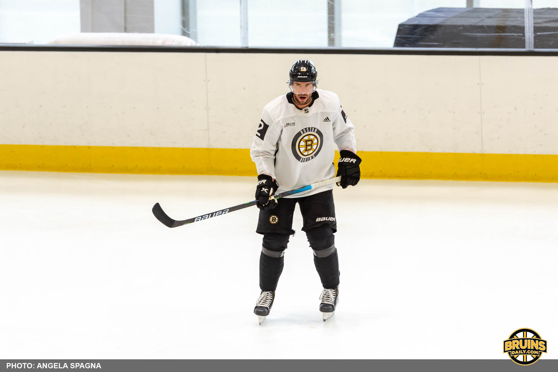 Bruins bounce back Vegas