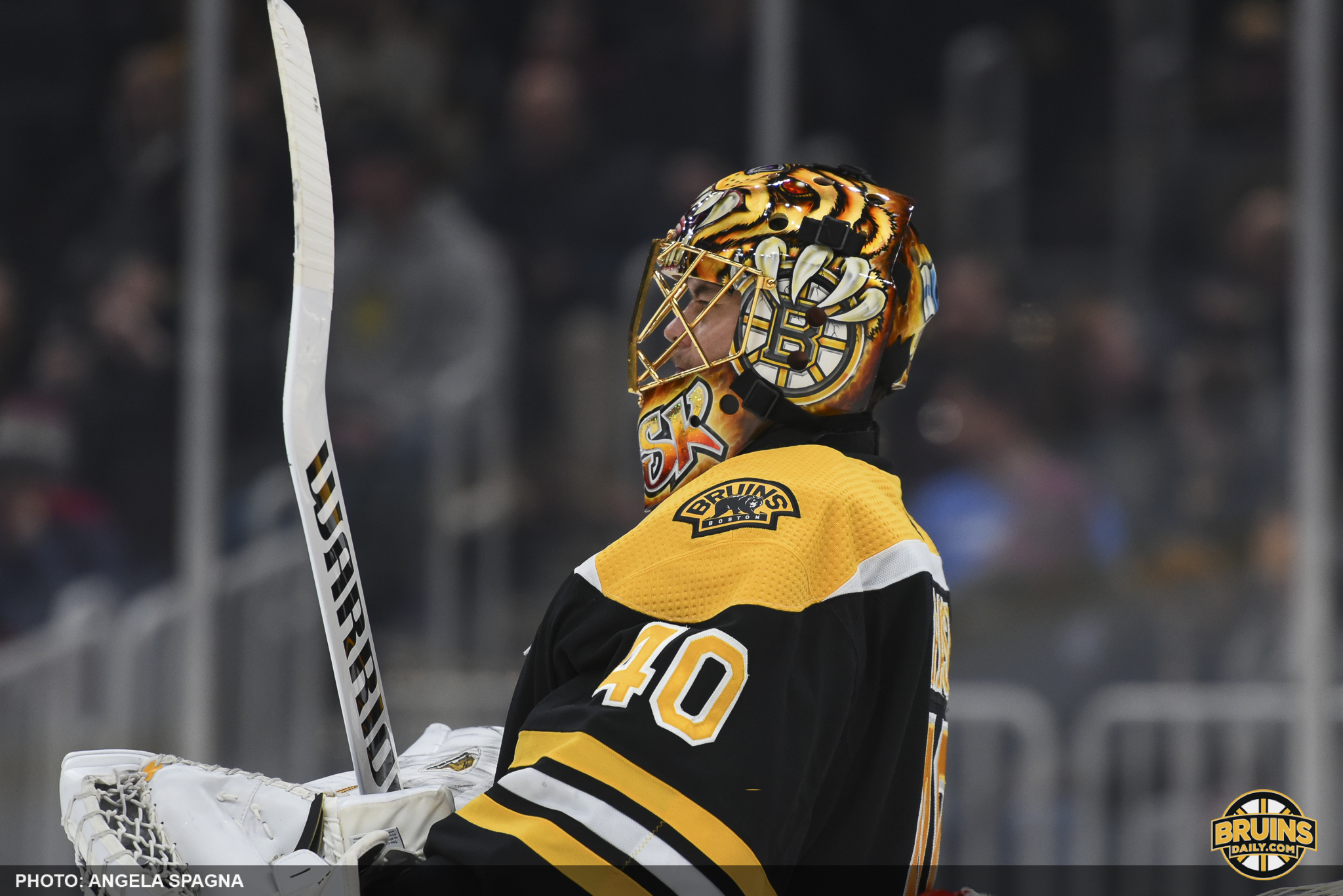 Bruins defense goaltending