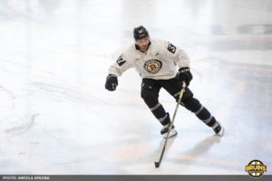 Protect Bergy