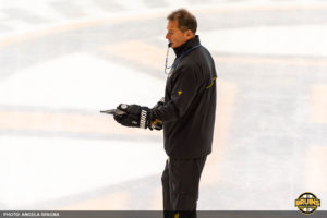 Bruce Cassidy defensive pairings