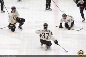 2021-22 Bruins season