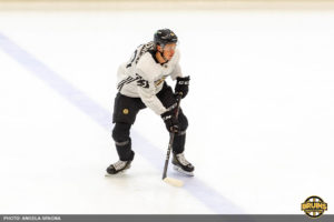 Bruins-Rangers preseason