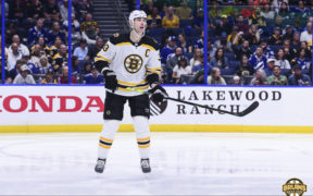 Zdeno Chara dynamic