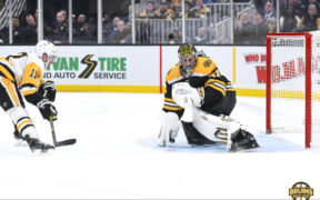 Margin of error Bruins