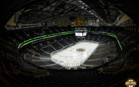 Empty TD Garden