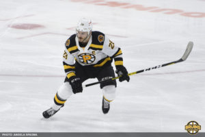 Providence Bruins Bridgeport SoundTigers
