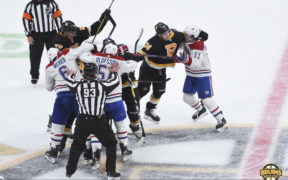 Bruins line brawl