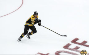 David Pastrnak full potential