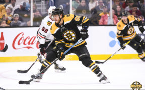 Bruins Daily David Pastrnak