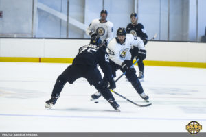 Bruins' opening night roster 2019
