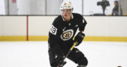 Bruins Swedish prospects