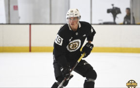 Bruins Swedish prospects