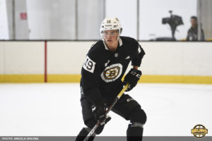 Bruins Swedish prospects
