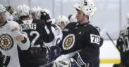 Development Camp Bruins prospects