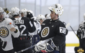 Development Camp Bruins prospects