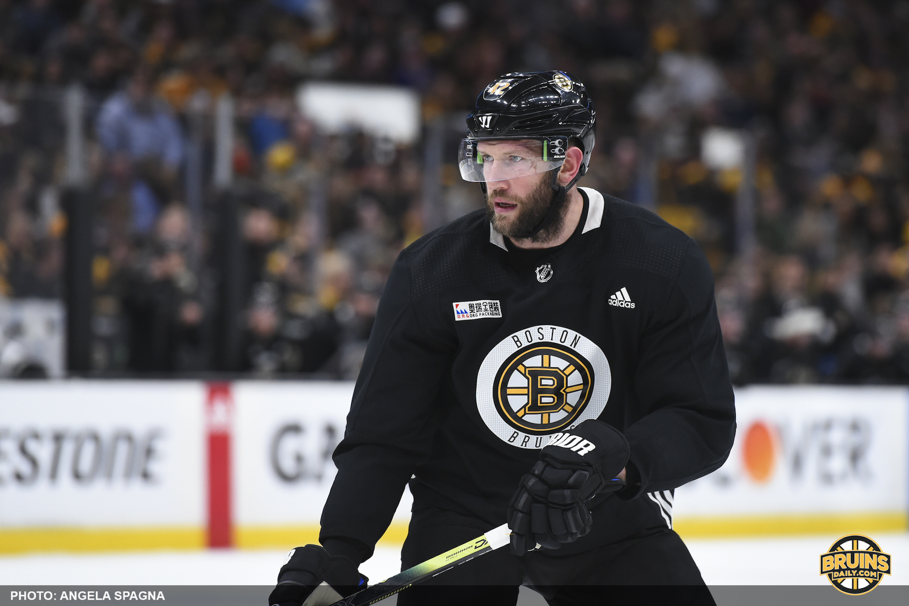 David Backes Stanley Cup