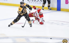 Bruins Hurricanes Conference Finals