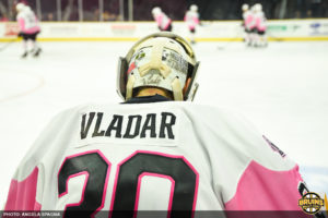 P-Bruins Charlotte playoffs