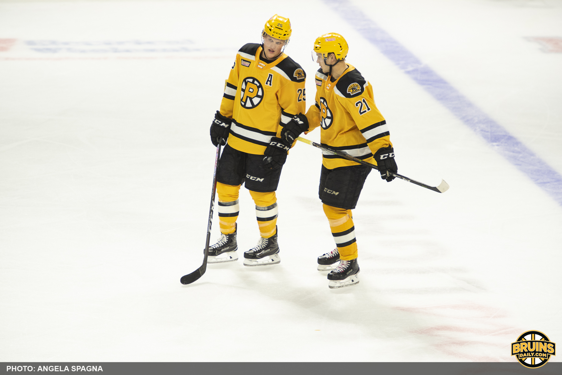 Providence Bruins playoffs Charlotte