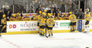 Providence Bruins playoffs