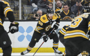 Bruins Wild April 4