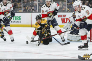 Bruins Panthers