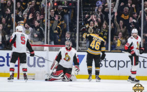 Bruins Sens