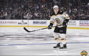 Bruins Sharks wild win