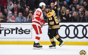 Bruins Red Wings recap