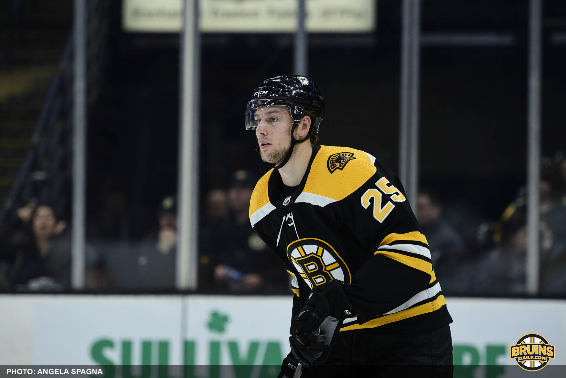 Brandon Carlo and Charlie McAvoy