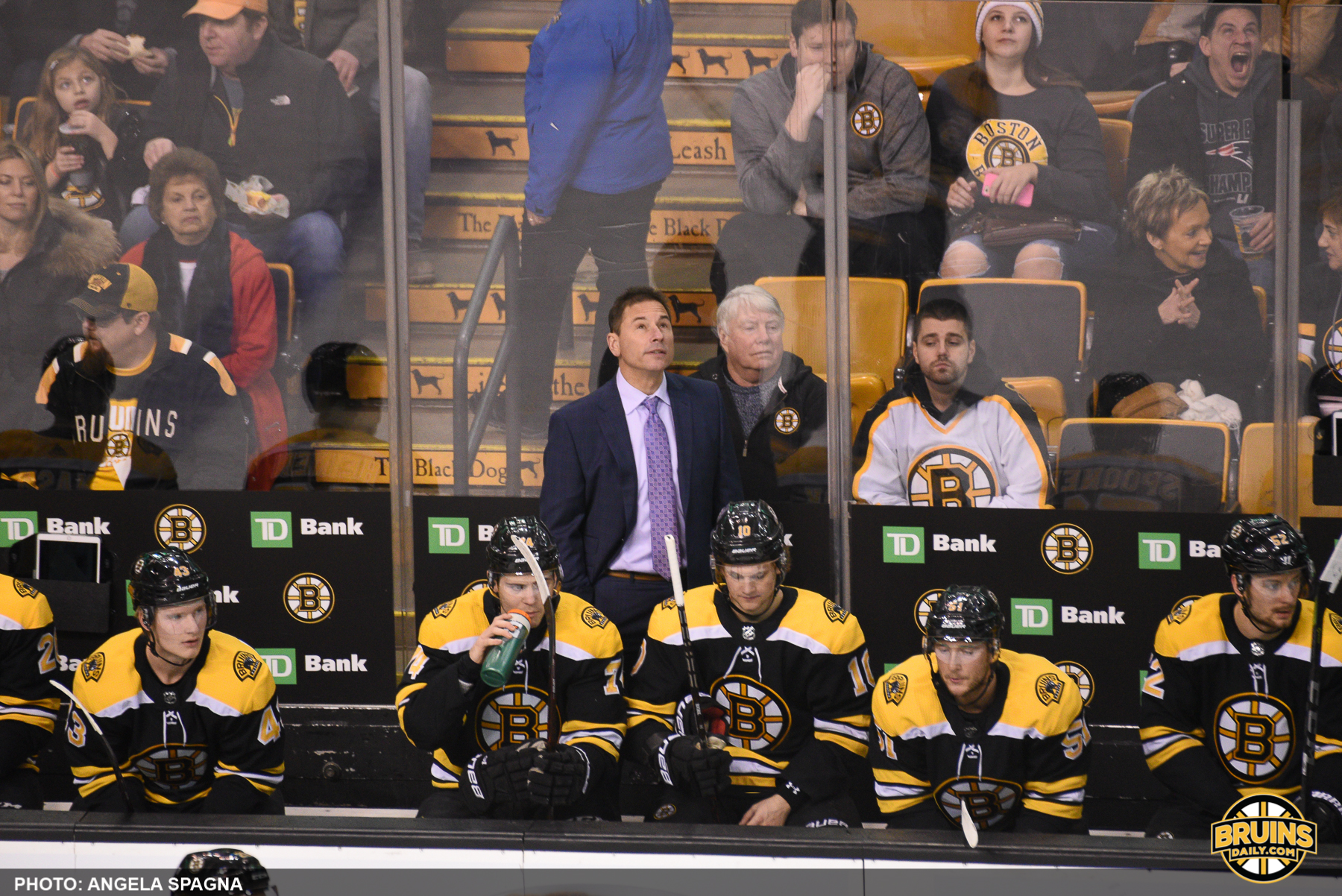 Bruce Cassidy Bruins