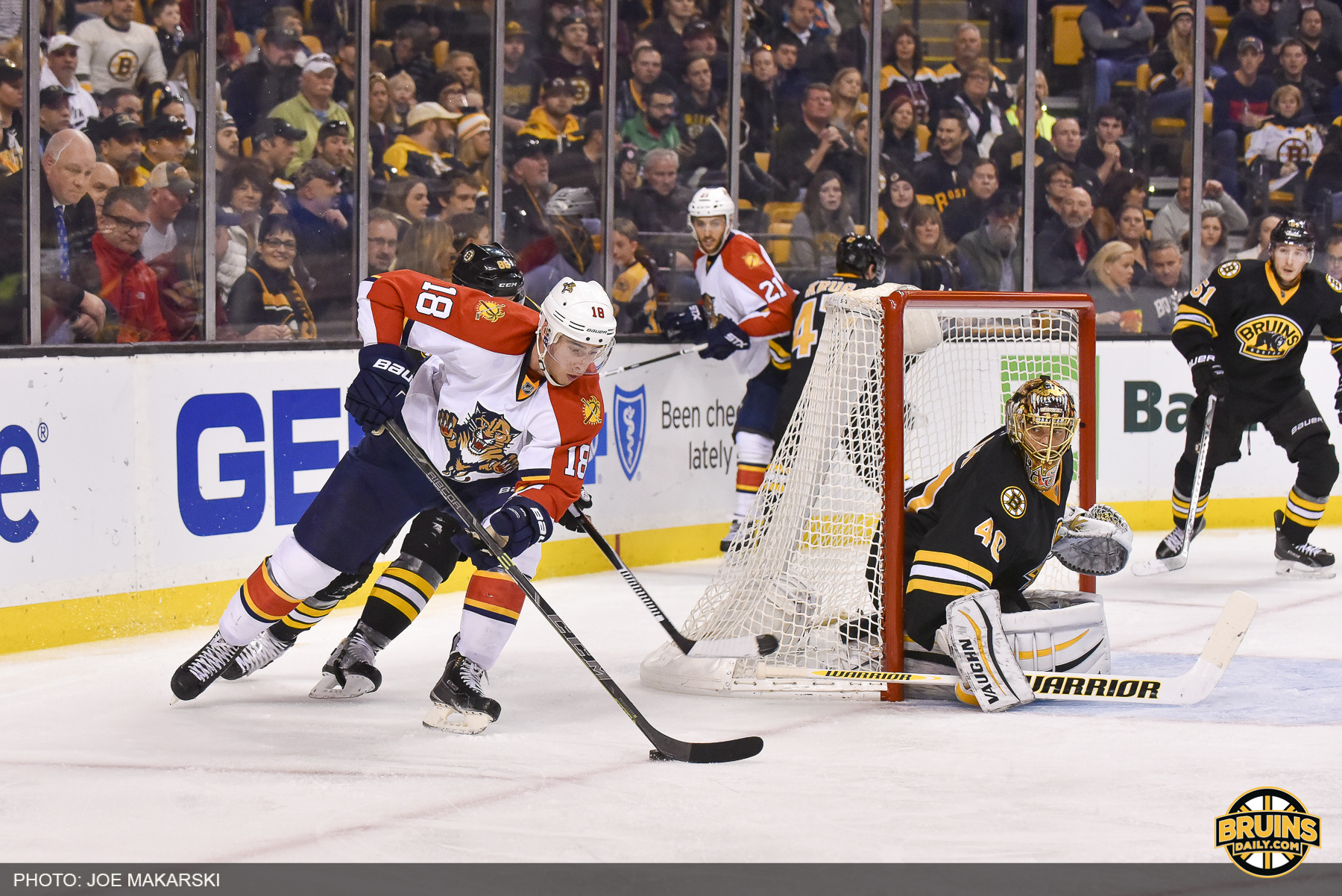 Panthers at Bruins